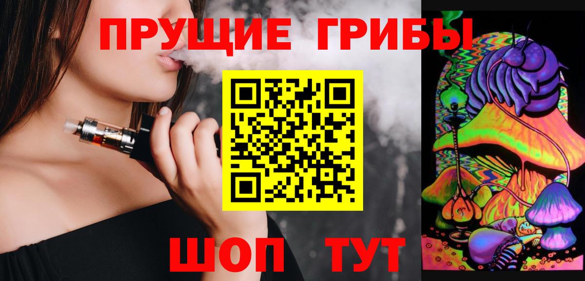 Галлюциногенные грибы Psilocybine cubensis Ачинск