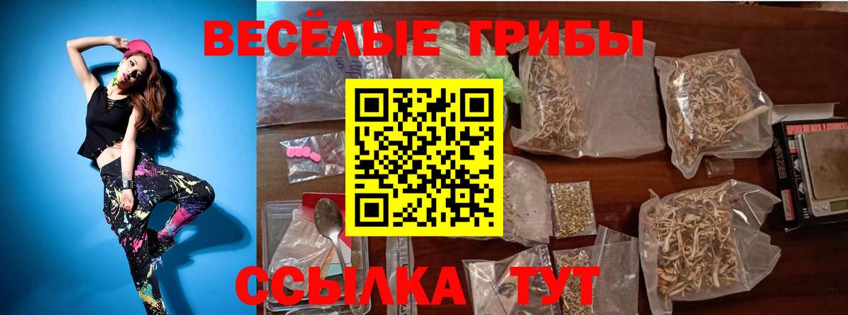 Псилоцибиновые грибы мухоморы  даркнет сайт  Псилоцибиновые грибы ЛСД  Ачинск  Вход с VPN 